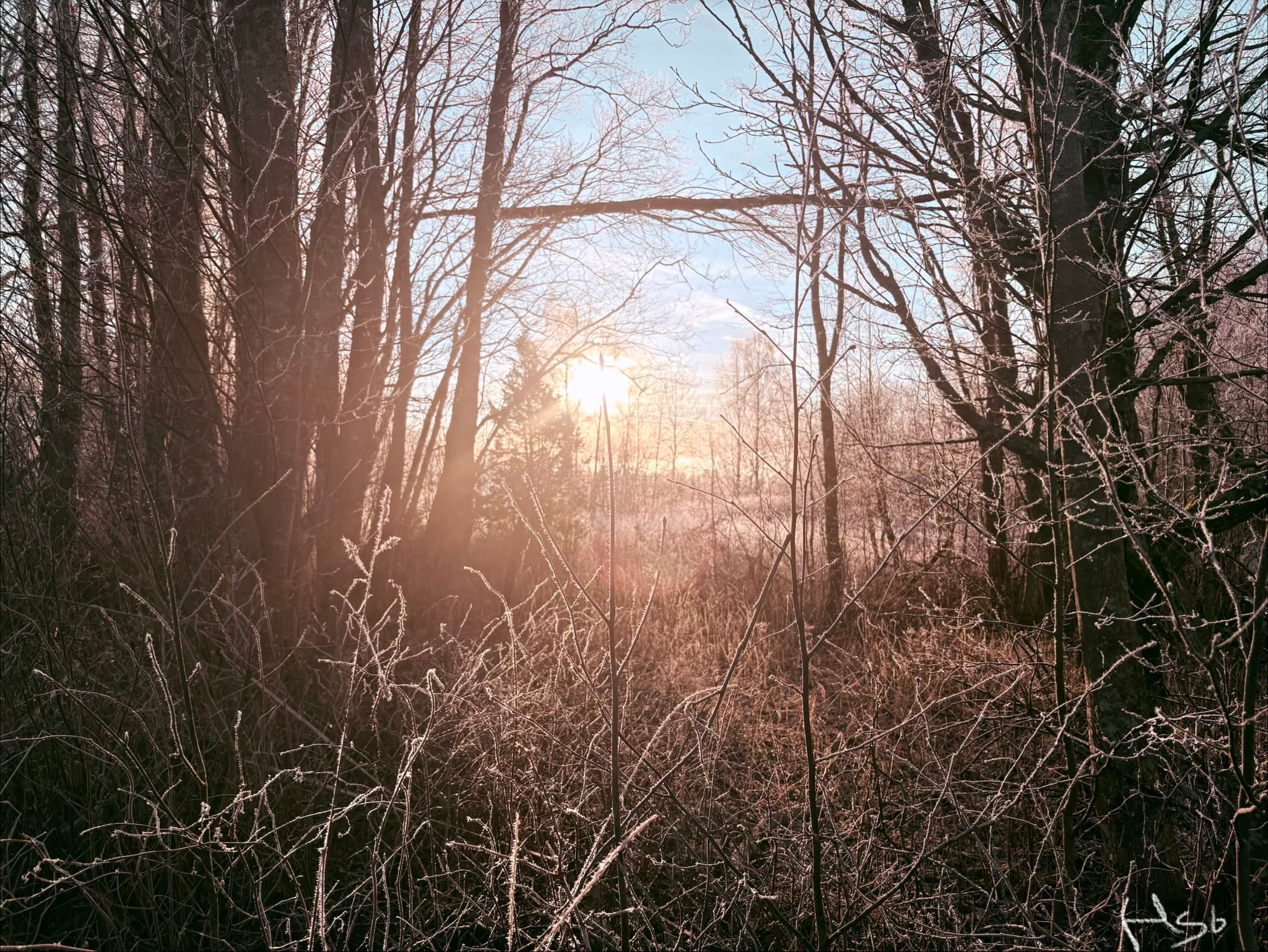 Frostnatt