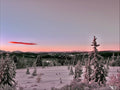 Winter Wonderland