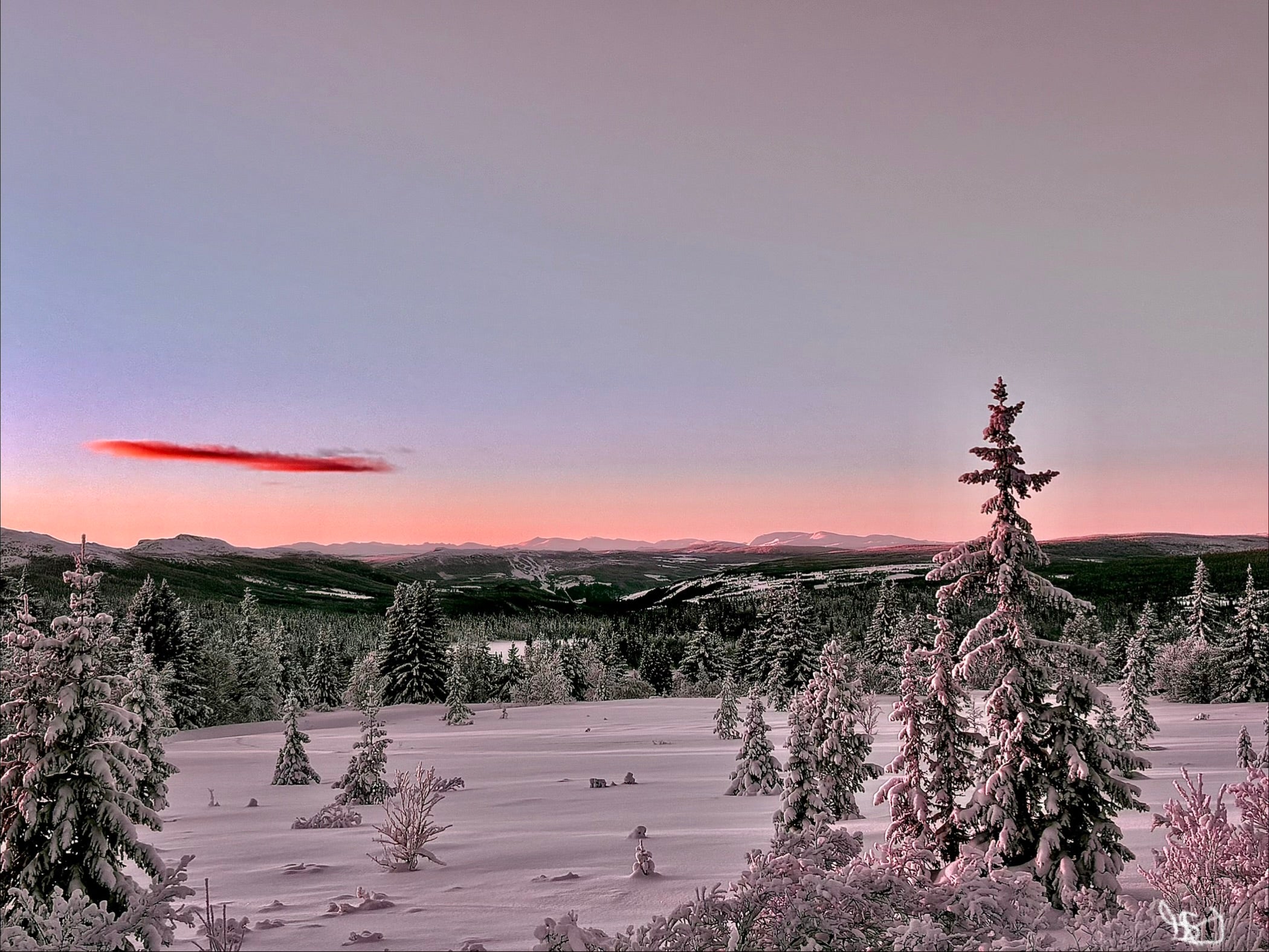 Winter Wonderland