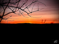 Solnedgang